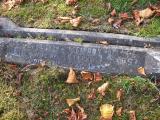 image of grave number 172193
